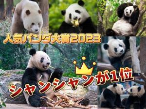 【AちゃんのChinanow】プレゼンツ 人気パンダ大賞