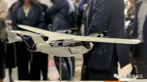 莫斯科举办“航空网2035”无人机展