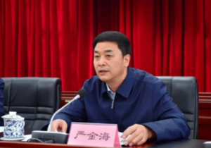严金海当选为西藏自治区人民政府主席