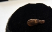 宁夏发现1.2万年前复杂刻划纹饰鹿牙艺术品