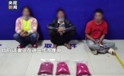联手贩运冰毒8.7公斤 一家三口被警方抓获