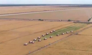 【新时代新征程新伟业】黑龙江:“冬闲”不闲的东建乡