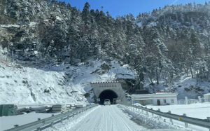 西藏林芝一隧道出口雪崩已发现遇难者8人，当地正全力开展搜救工作
