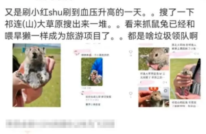 祁连山草原游客手抓鼠兔拍照 专家提醒：小心鼠疫