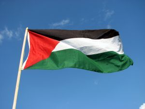 一些欧盟国家将于5月底承认巴勒斯坦国 中东局势新动向