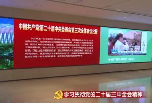 北京各区深入学习领会党的二十届三中全会精神