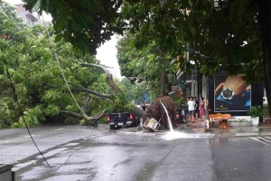 台风“摩羯”在越南已造成21人死亡