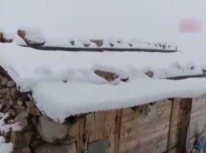 土耳其罕见“七月飞雪” 当地人直呼几十年未见