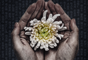 88年，我們從未忘記！