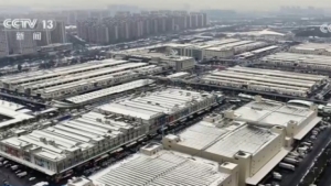 “年货消费”活力充沛激发经济增长新动能