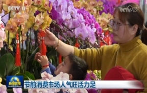 节前消费市场人气旺活力足