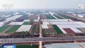 新型农机田间“上岗” 多地育秧播种按下加速键