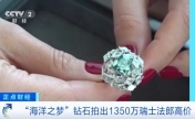 “海洋之梦”，拍出1.17亿元！长这样
