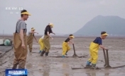 研学体验持续“上新” 各地激活暑期文旅消费