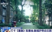 影视带动取景地出圈 乐山、蓬莱迎来打卡热