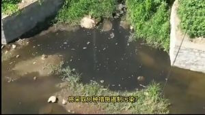 烟台莱阳市谭格庄镇一养牛场污水直排白龙河，下游水库安全引担忧