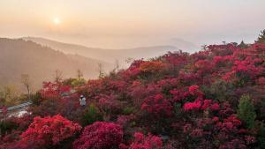 Taihang Red: Driving Through China's Most Dramatic Autumn
