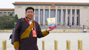 厚植爱国情怀 西藏农牧民合作组织带头人参观天安门广场