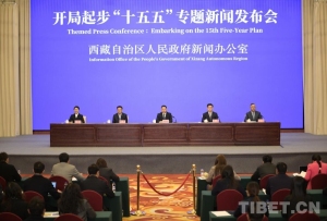 开局起步“十五五”:西藏持之以恒推进“四件大事”