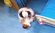 暖流 | 海姆立克法失效 医护紧急抢救婴儿