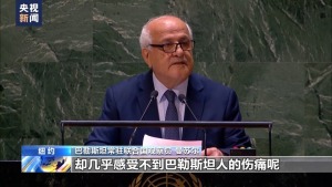 联大恢复召开关于巴以冲突的紧急特别会议