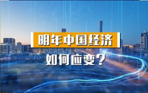 新闻1+1丨明年中国的经济将如何应变？专家解读