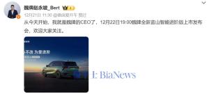 魏建军回应“九年八换CEO” 压力大导致变动