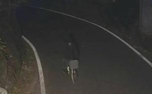男子夜骑60公里撬"功德箱" 偷3100元被刑拘 寺庙监控锁定嫌犯