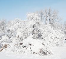 2026年第一强冷空气来了？拉尼娜最新消息 农民需警惕2件事