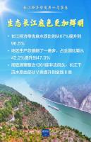 长江经济带交出发展十年亮丽答卷 绿色与发展共赢