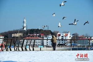 山东半岛多地积雪明显 “雪海同框”成美景