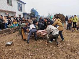 “按猪宴”走红：一场盛大的数字乡愁 唤醒乡村记忆