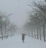 烟台威海的雪下到模糊 雪雾弥漫如冒烟