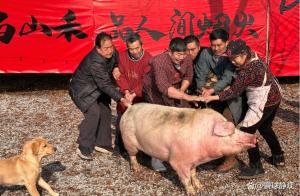 “按猪宴”为何会走红 唤醒乡愁记忆