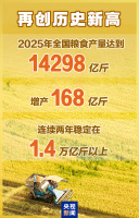 2025年粮食产量超1.4万亿斤 再创历史新高