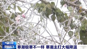 分清寒潮与极寒 专家详解南北冷感差异