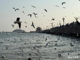 山东GDP破10万亿 为何这么强 厚积薄发的力量