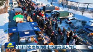年味渐浓 各地消费市场活力足人气旺