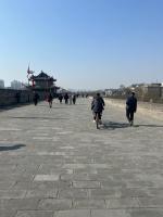 节后多地涌现“白菜价”机票 价格断崖背后的黄金机遇