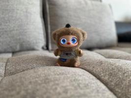 杭州一公司给员工发机器人回家过年 特殊“员工”感知世界