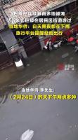 巴厘岛暴雨 近5米长巨蟒游过居民区 雨季异常引发关注