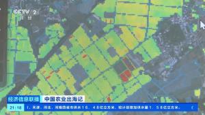 稻田变身“无人农场” 看AI“最强大脑”如何种地