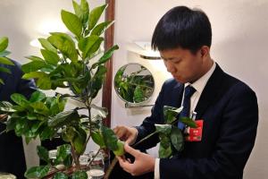 带苗参会！“90后”新农人代表“开箱”土特产