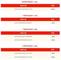 武汉女子用159元发票抽中一辆汽车 意外之喜引发热议