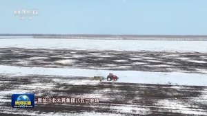 人勤春来早 农忙正当时 走进春天里的中国