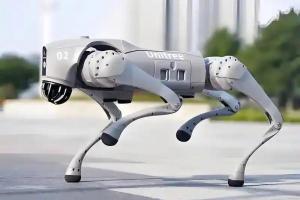 西安交大脑控机器狗问世 意念操控成真