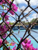 郑钦文迈阿密赛首战因持续降雨推迟 赛事延期引发关注