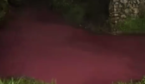 企业处理废水不及时致河水被染色 环境部门将立案调查