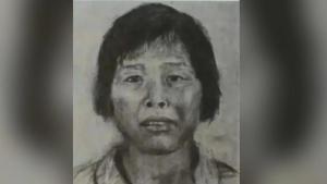 不公布梅姨照或有防同伙察觉等原因 谜团终解开