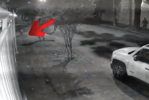 巴西8人殴打卡皮巴拉被捕